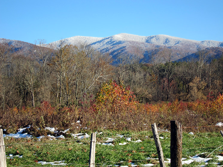 Great Smoky Mountains in Cades Cove