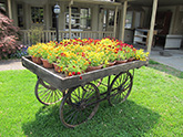 flower cart